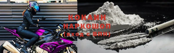 сатива Арсеньев