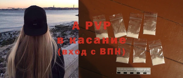 сатива Арсеньев