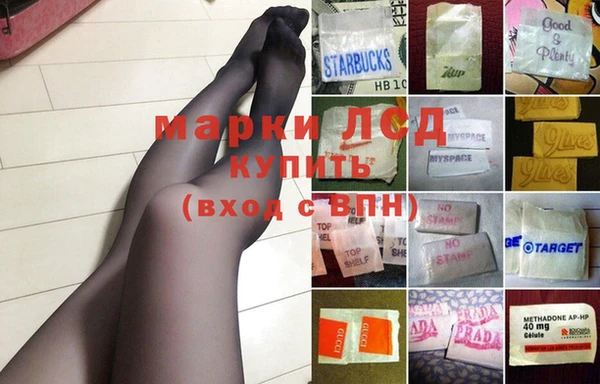 сатива Арсеньев
