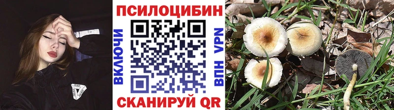 Псилоцибиновые грибы мицелий  площадка как зайти  Малмыж 